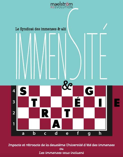 livre : Immensité et stratégie