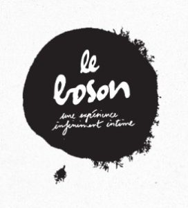 le boson
